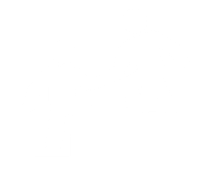 One-on-One Mentorship